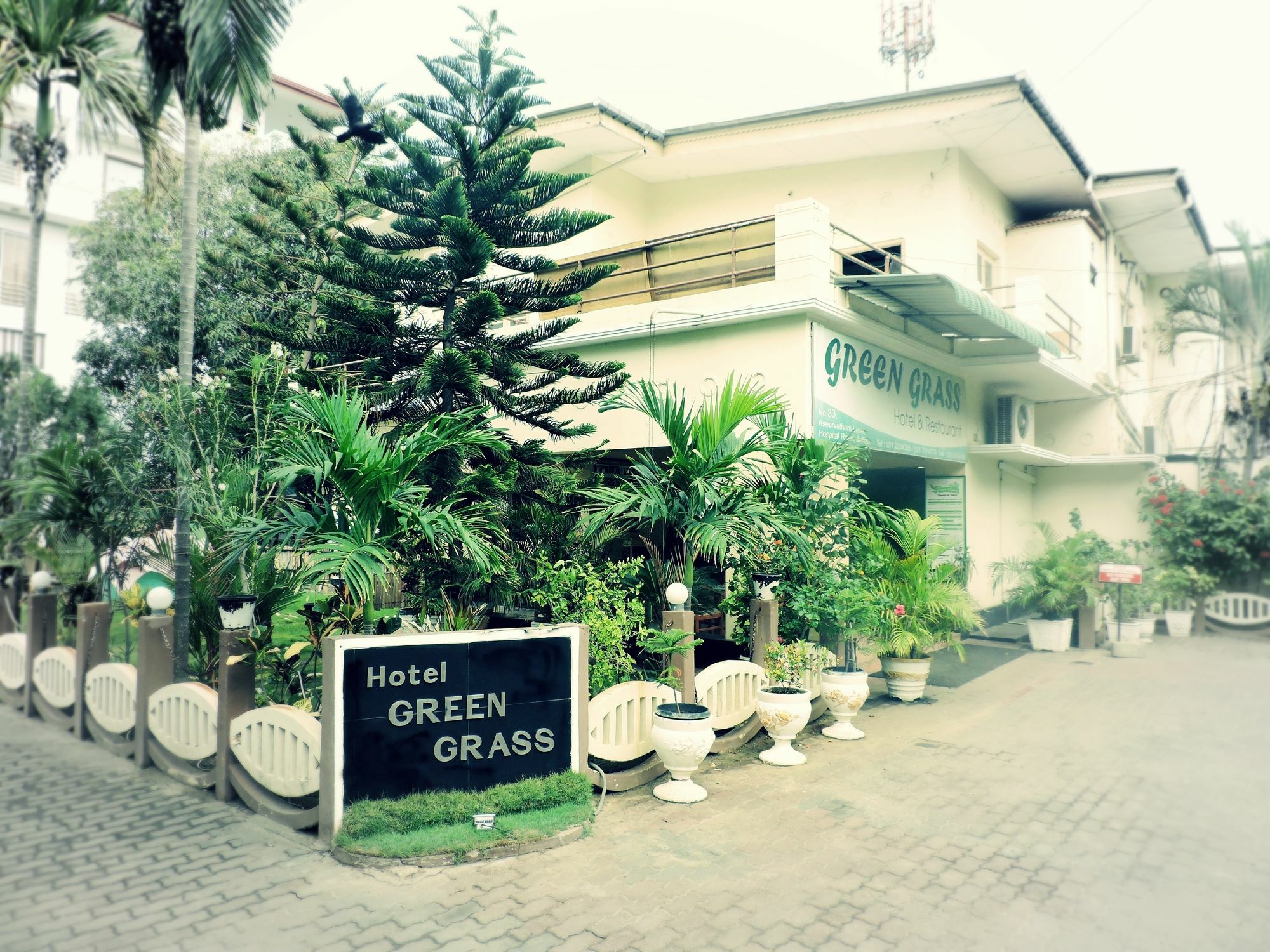 Green Grass Hotel & Restaurant Jaffna Eksteriør bilde